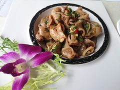 -云里小坐·小院里·团建·宴请·下午茶(三圣乡店)