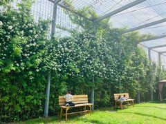 -安德鲁户外烧烤帐篷营地(马泉营店)