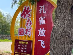 -竹泉村旅游度假区