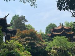 -杭州黄龙洞