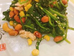 八宝菠菜-大眼锅贴水饺(河东店)