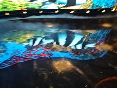 -唐宫足道·SPA·住宿24H会所(木渎店)