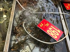 -湛江渔港·大排档(乐园路总店)