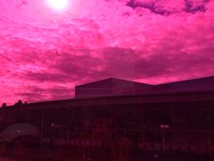 -金泽21世纪美术馆