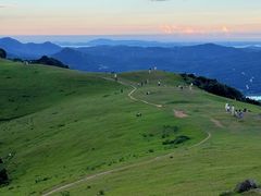 -大姆山草场