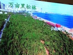 -维也纳国际酒店·江苏苏州火车站北广场店