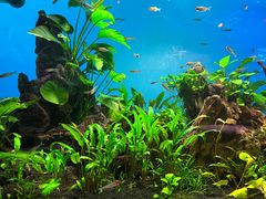 -太平洋海底世界