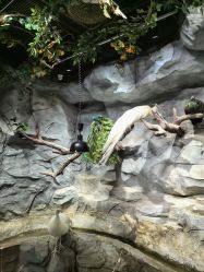 -Zoolung Zoolung动物主题公园(海信广场店)