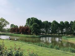 -安德鲁户外烧烤帐篷营地(马泉营店)