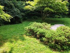 -庐山风景区花径公园