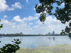 -长春市南湖公园