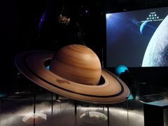 -贝林大翅鲸简餐厅(国家海洋博物馆店)