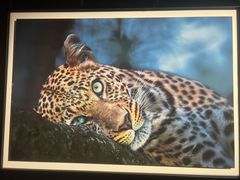 -罗红摄影艺术馆