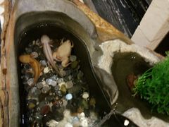 -水晶之星洗浴温泉汗蒸