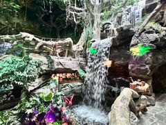 -多彩贵州城极地海洋世界