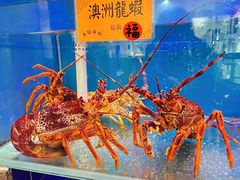 -好彩海鲜火锅饭店(银河百老汇店)