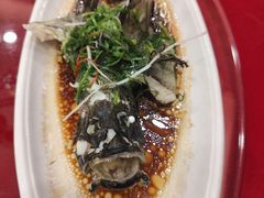 老虎斑-湛江渔港·大排档(乐园路总店)