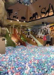 -卡通尼·Safari非洲探索乐园·生日会(金桥国际商业广场店)