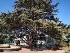 -国家植物园南园