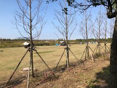 -春花秋色城市公园