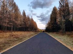 -塞罕坝国家级自然保护区