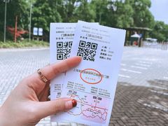 -上海海湾国家森林公园