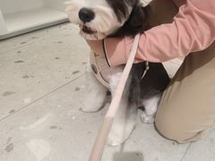 -FAELING PETS美天灵宠物(合生汇店)