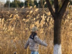 -前关湿地公园