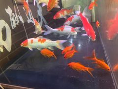 -小城外婆肴私房菜.家宴聚集点(圆明园颐和园·清河上地店)