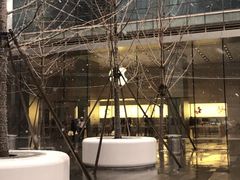 -Apple零售店(华贸购物中心店)
