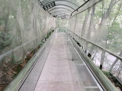 -丹东天桥沟景区