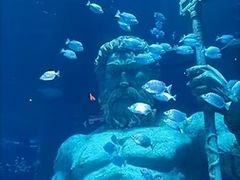 -南昌海洋公园