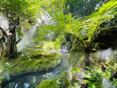 -Chom Cafe and Restaurant