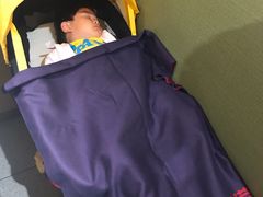 -海底捞火锅(正大乐城店)