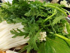 -真利味·脊骨火锅·正宗韩国料理(韩乐坊店)