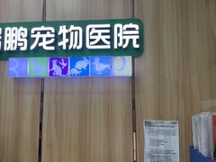 -瑞鹏宠物医院·夜间急症·心超·猫科(祖庙分店)