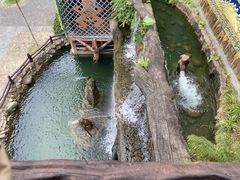 -海南槟榔谷黎苗文化旅游区