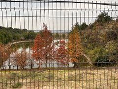 -青龙山国家森林公园