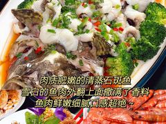 -小海豚•老字号海鲜餐厅(天涯店)