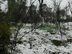 -瑶湖郊野森林公园