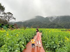 -广州市石门国家森林公园