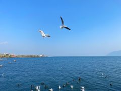 -大理洱海