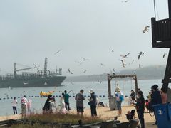 -海驴岛(荣成市)