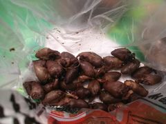 -老苗炸鸡(天下汇国际购物中心店)