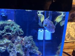 -Zoolung Zoolung动物主题公园(海信广场店)