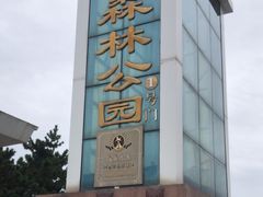 -日照海滨国家森林公园