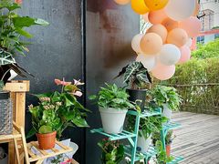 -FEI FEI FLOWER鲜花店·气球派对·宝宝宴布置(虹口德必运动Loft店)