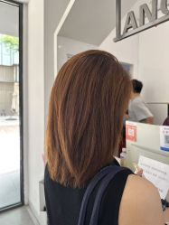 -天使之手