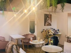 -Husky Go! 哈士奇体验馆·宠物咖啡厅狗咖