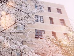 -UNI UNI(环亚凯瑟琳店)